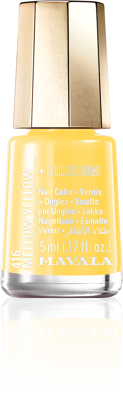 Mellow Yellow — Un tendre jaune mimosa, merveilleusement ensoleillé